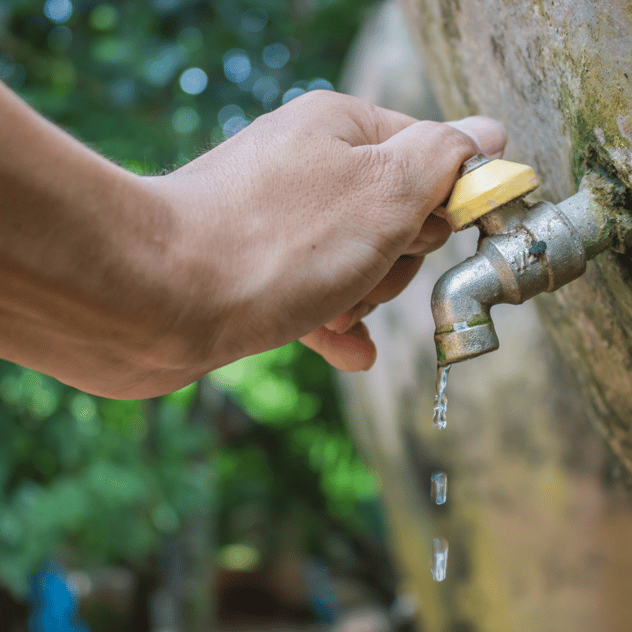 How rainwater harvesting and tanks can help the environment